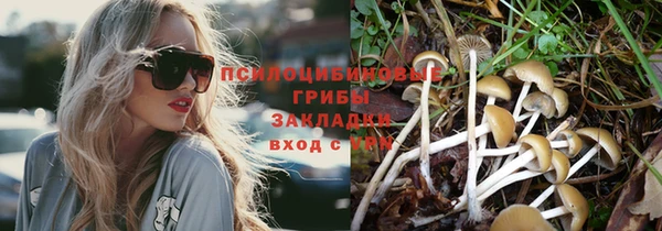 стафф Абдулино