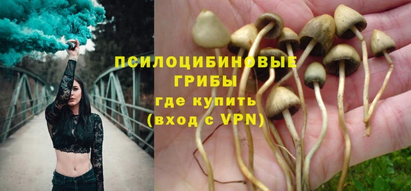 стафф Абдулино