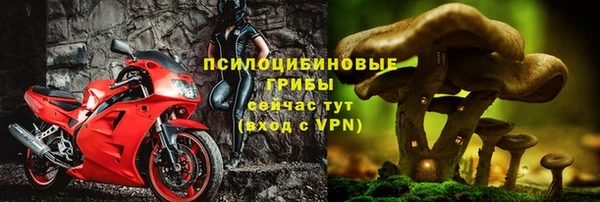 mdpv Сосновоборск