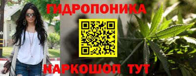 СК Владимир