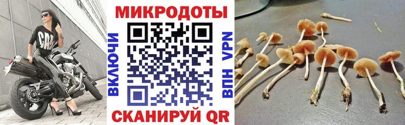 Псилоцибиновые грибы Psilocybe  KRAKEN ССЫЛКА  площадка какой сайт  Кинешма 