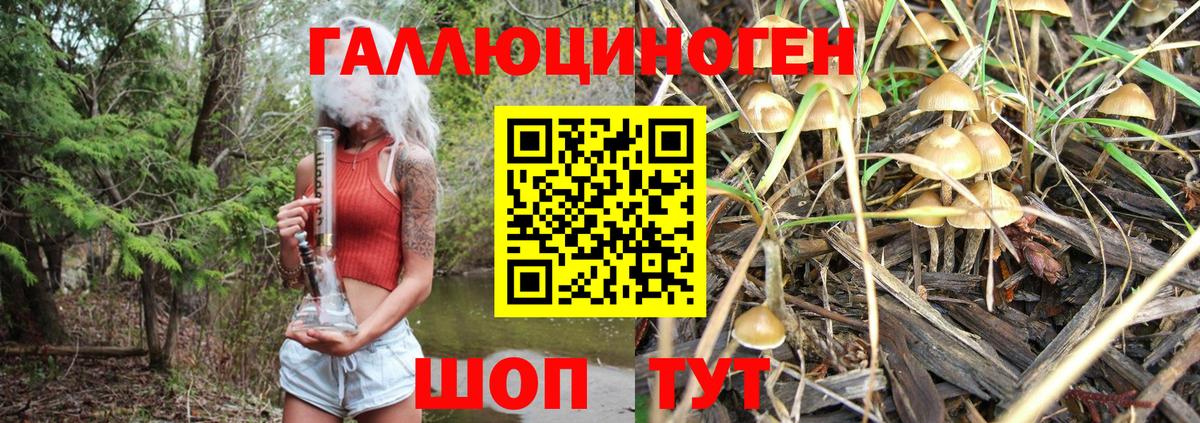 Кинешма  Псилоцибиновые грибы мицелий  Вход с VPN 