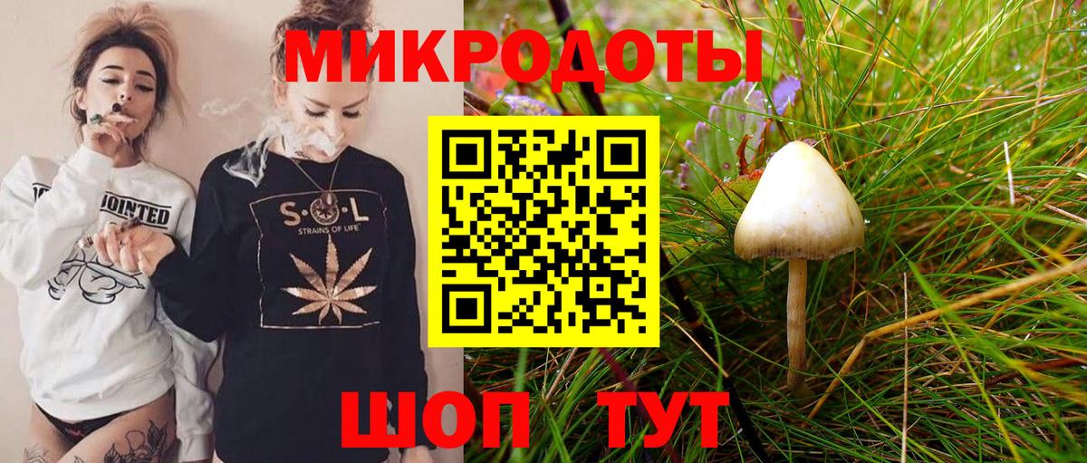 Псилоцибиновые грибы прущие грибы Кинешма